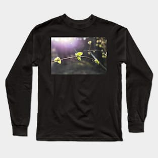 Illuminating young leaves Long Sleeve T-Shirt